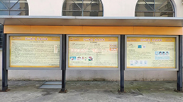 太阳城官网(中国集团)有限公司